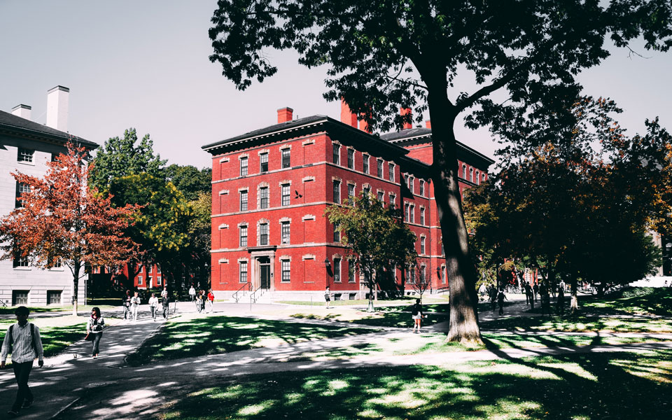 Universitas audi indonesia